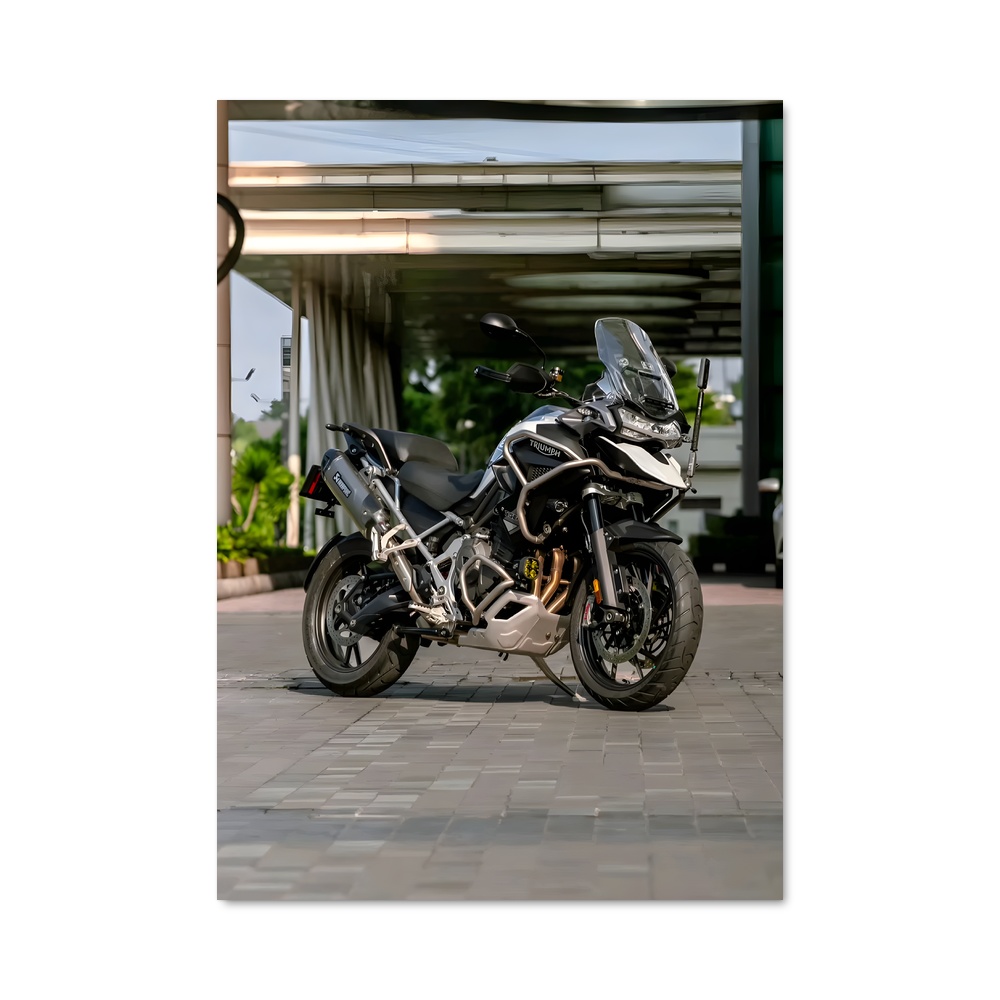 Poster Tigre Majestueux 1200